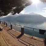 Ulivo8 * Аккуазериа